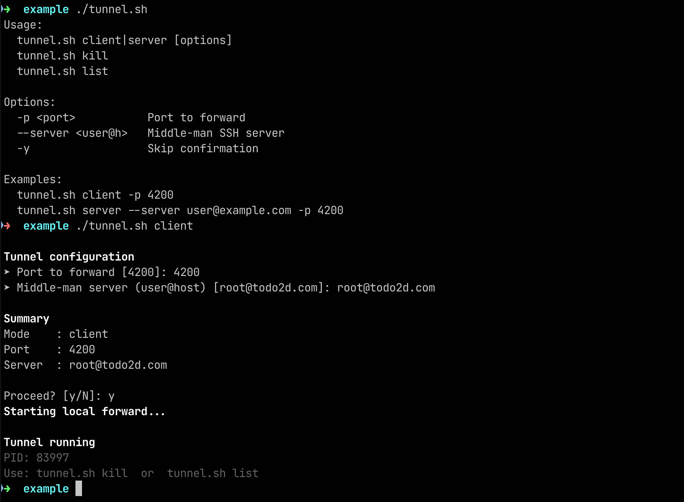 Remote development with using an SSH tunnel